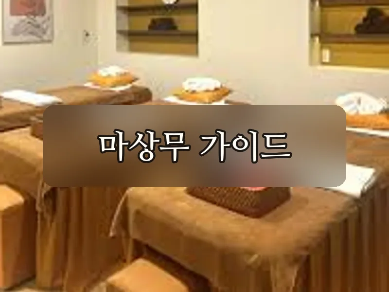 안케이플러스