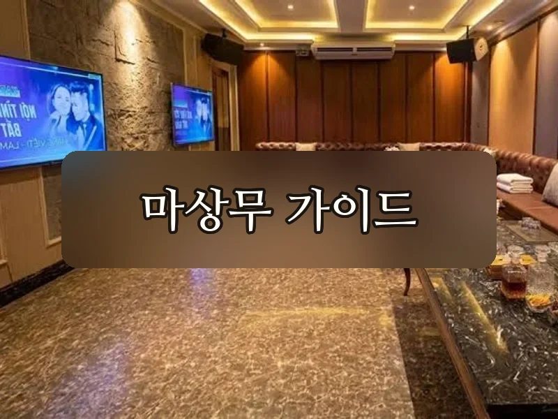 다낭 아우디 가라오케 홀