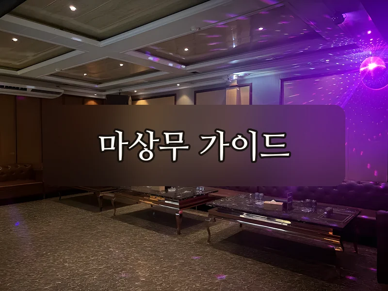 다낭 아우디 가라오케 VIP룸