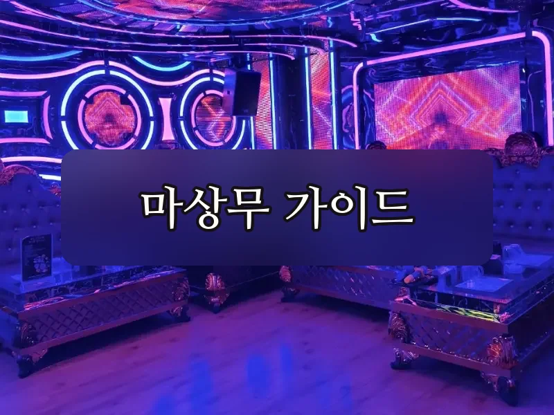 다낭 벤츠 가라오케 룸 음향 시스템