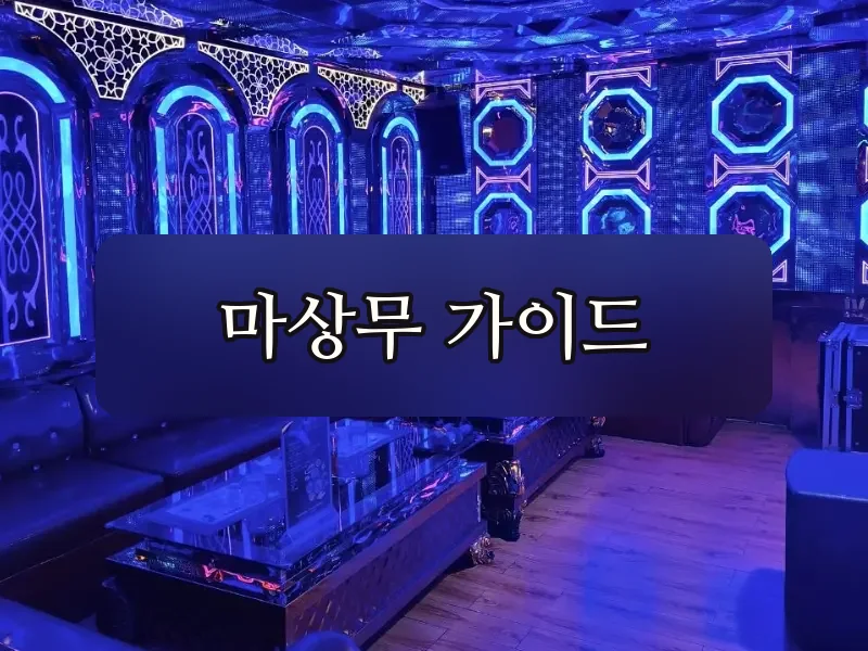 다낭 벤츠 가라오케 룸 좌석