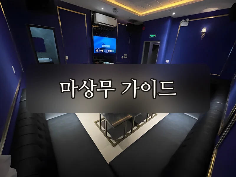 다낭 BMW 가라오케 네이비 룸