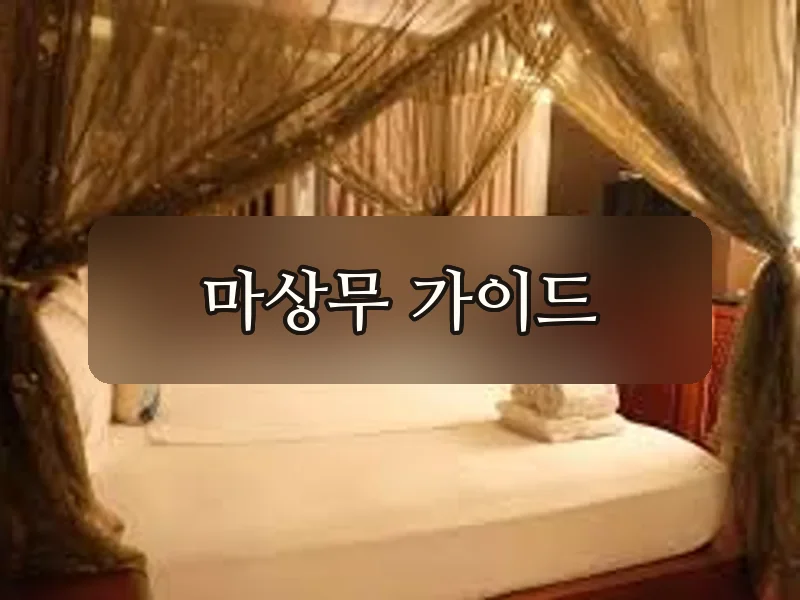 다낭 청룡열차 마사지 홀