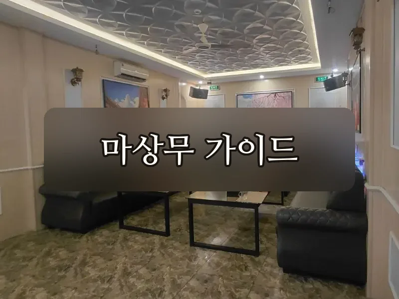 다낭 준코 가라오케 룸 좌석